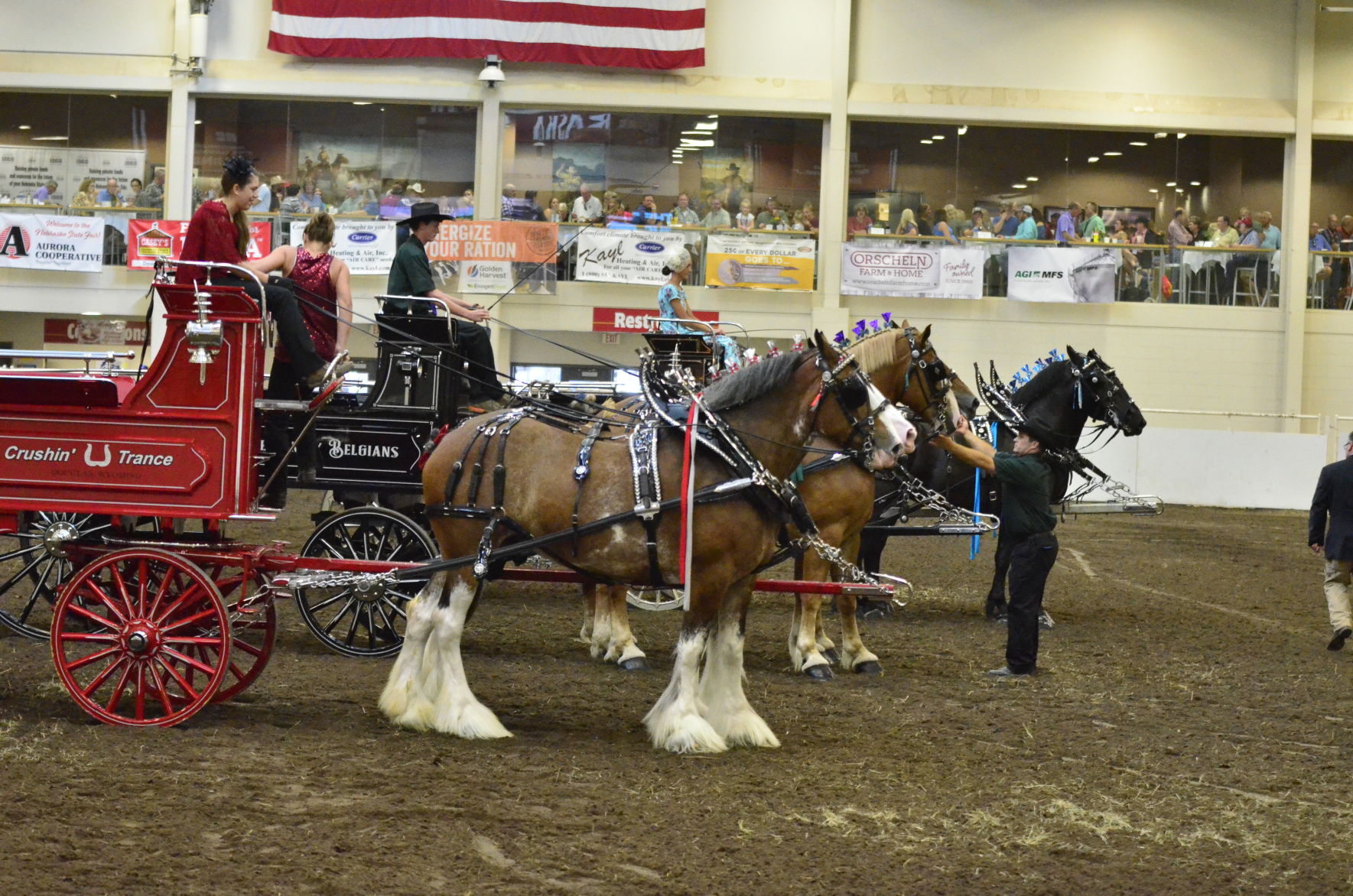 8-25-19 Draft Horse Hitch Final (66).JPG